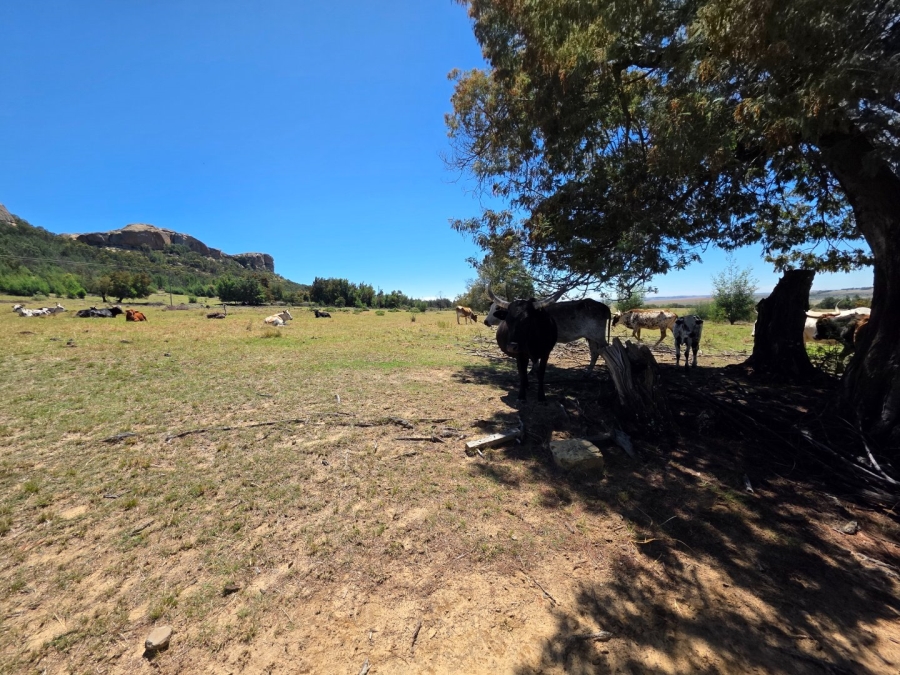 Commercial Property for Sale in Bethlehem Free State